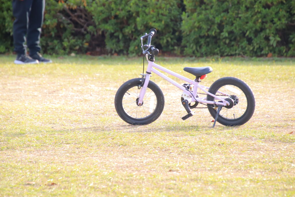 子どもが遊ぶ様子