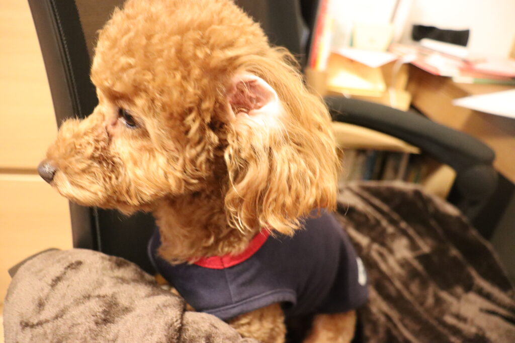 マイホームのイメージ画像