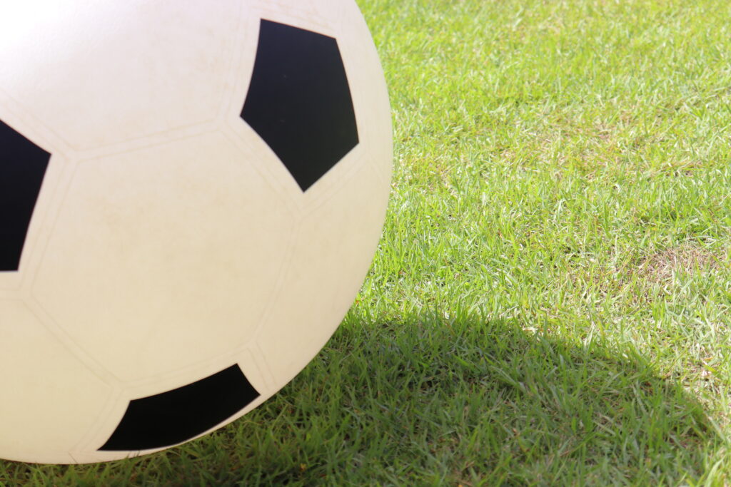 子どもと楽しむマイホームのイメージ